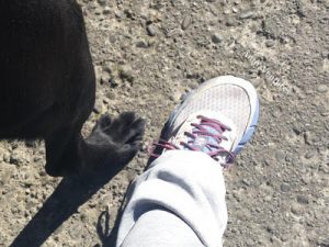 A close  up of my left foot and ADNZ Ben's right rear foot.