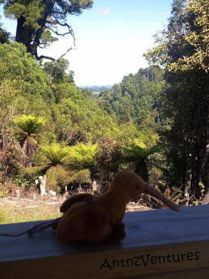 Kaha, a Beanie Baby Kiwi sitting on a handrail over looking NZ forest