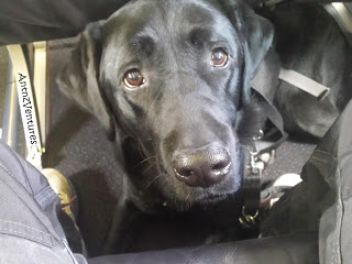 Close up of ADNZ Ben's face