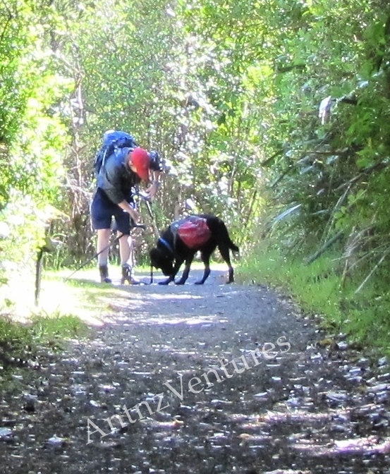 Antnz (left) and ADNZ Ben on a track, Antnz is directing Ben to pick something up