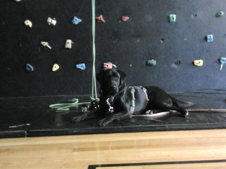 ADNZ Ben looking at camera, lying on crash pads in front on a Black climbing wall with coloured hand holds.