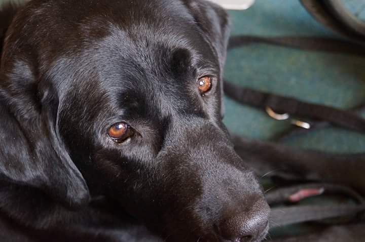 A close up of ADNZ Ben looking at camera