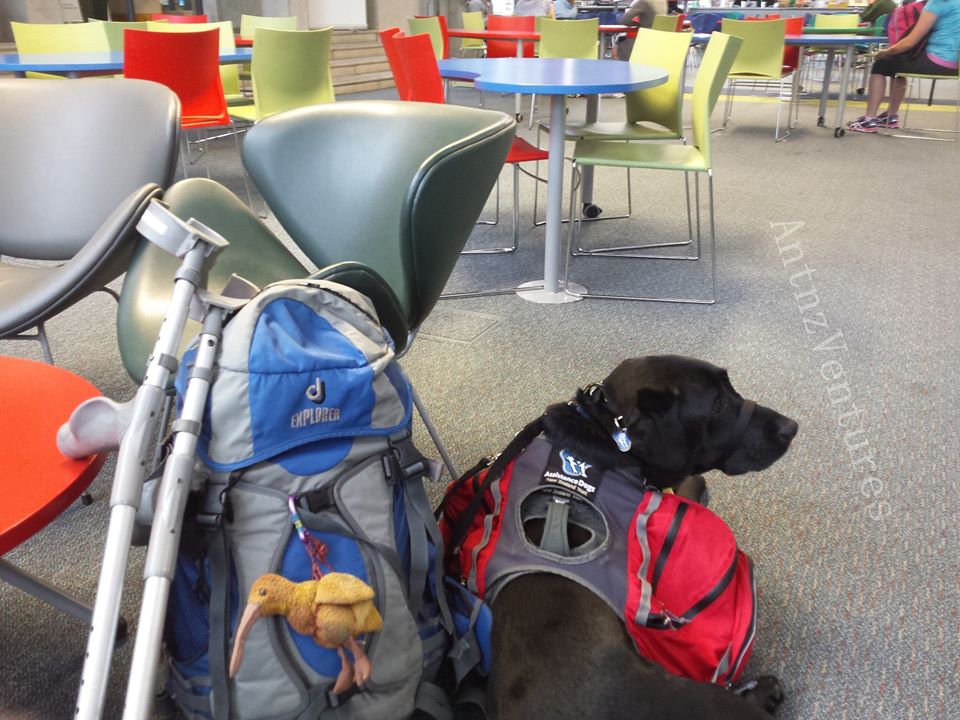 A picture of crutches, a pack with Kaha (Kiwi Beanie Baby) and ADNZ Ben in the UCoL Atrium