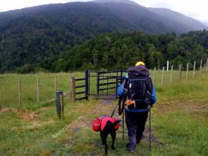 A shot from behind of ADNZ Ben (left) and Antnz both with full backpacks on in the foreground.  In the mid-ground and foreground is a grassed area, fence and gate, in the background are hills of native bush.