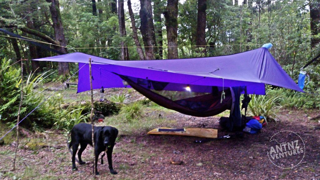 Hammock Camp with large purple tarp at Donnelley's Flats, Jan 2019. ADNZ Ben on left