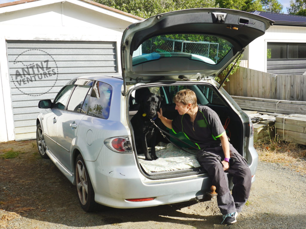 A silver station wagon parked with the front away from the camera, you can see up the side of the car. The boot is open with ADNZ Ben sitting to the left, looking at the camera. Antnz is on the right looking at Ben stroking his neck
