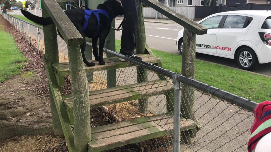 A pictures of a wooden stile over a fence. Antnz' lower legs are pictured on the right of the fence at top of the stile. ADNZ Raven is standing the the left of the fence at the top of the stile.