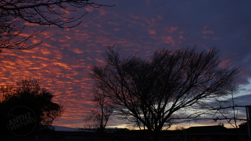 A picture of the sky. The sky is pink with fluffy clouds on the left graduating to blue as you look right. There are 3 trees in the mid-ground, with the tops of houses also shown. The trees and the rooves are silhouetted against the sky