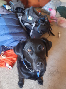 ADNZ Raven is sitting, looking at the camera in the fore-ground. In the background is a lofted out blue sleeping bag, an orange stuff sack and part of an empty black backpack.