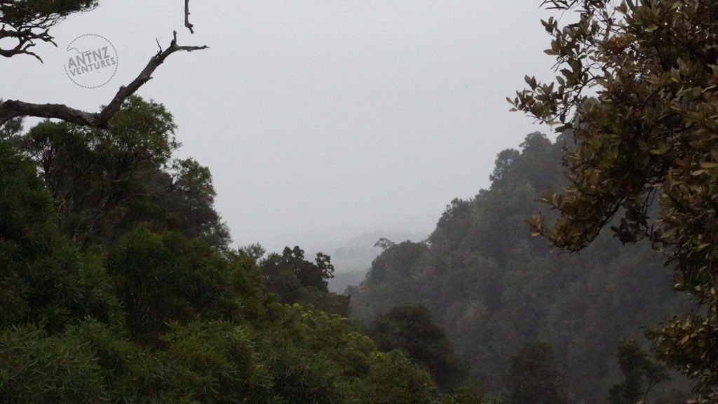 A landscape, native bush along the side of the valley can be seen. The plateau towards the coast cannot be seen due to rain.
