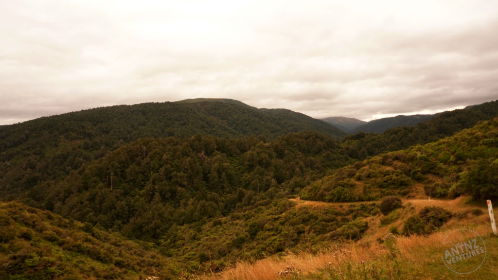 A landscape shot looking up the Oroua Valley. This picture is taken on the edge of the farmland heading down into valley. Starting from the night you can see a walking trail heading down past and behind the first ridge.