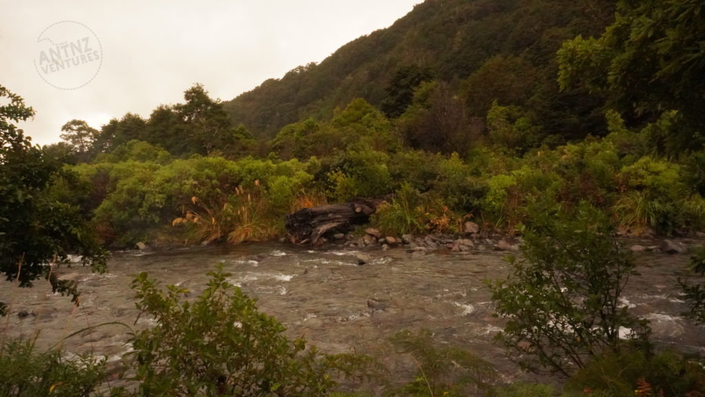 a picture of a small river, on the opposite bank is a log lying partially in the river surround by brush. The background is the edge of beech forest