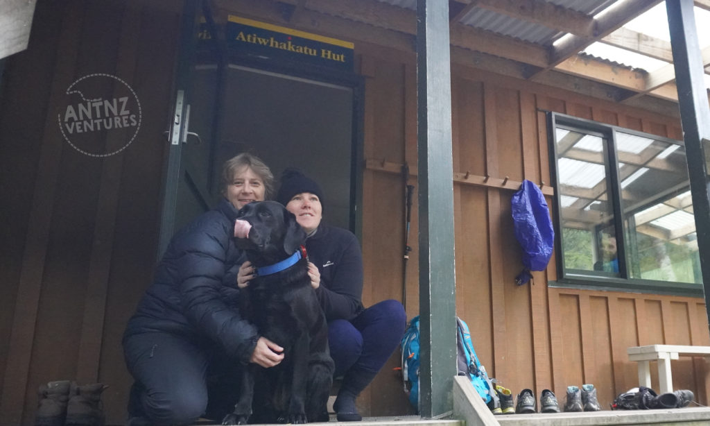 A picture taken on the deck of a Dept of Conservation Hut, with a sign saying "Atiwhakatu Hut" above a door that is open. Antnz, ADNZ Raven and Natt are crouched in front of the door. Antnz is looking at the camera, Raven is licking her nose and Natt is looking where she thinks the camera is. A mans face can be seen through the window on the left of the door.