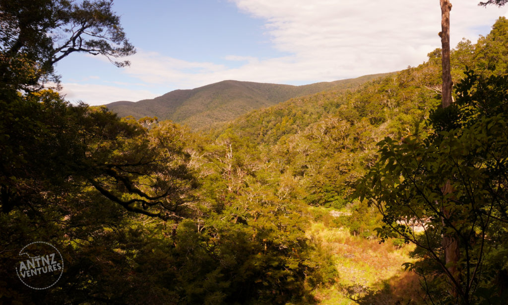 A photo looking east, down Atiwhakatu valley. Taken looking through bush and down over the valley. In the sky from the horizon to the top of the frame a line of clouds can be seen. The valley is bright with sunlight.