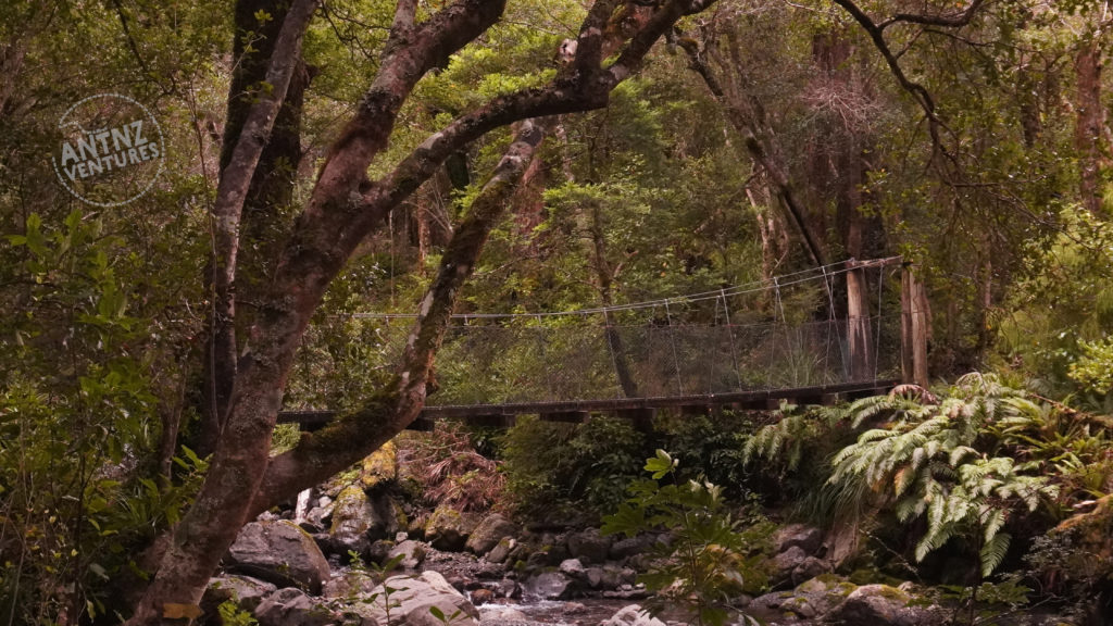 A picture of a swing bridge with a solid wooden floor, taken from downstream. The surrounding riverbanks around covered in NZ beech and podocarp forest.