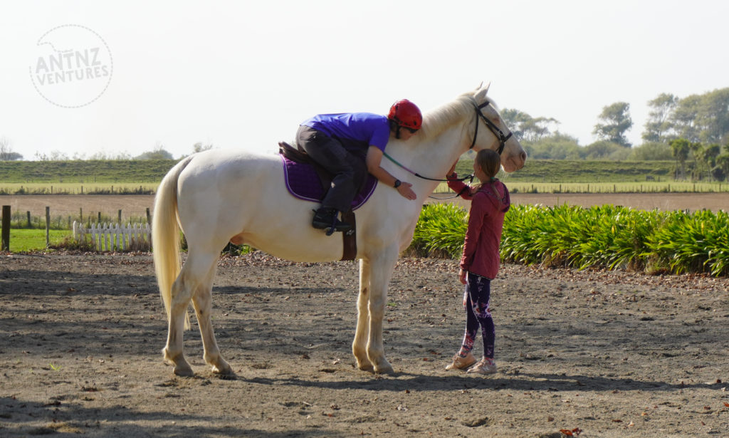 A large white horse stands sideways in the middle of the frame. On the horse Antnz sits, leaning fully forward on the horses neck, patting the base of the neck of the horse. Another woman is standing by the horses head patting the horses neck.