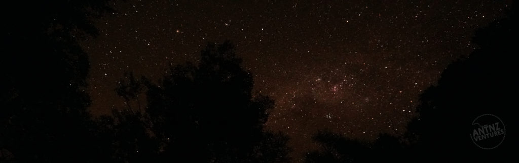 A night panorama of the milky way, trees frame either side and a tree is silhouetted just slightly left of the midline.