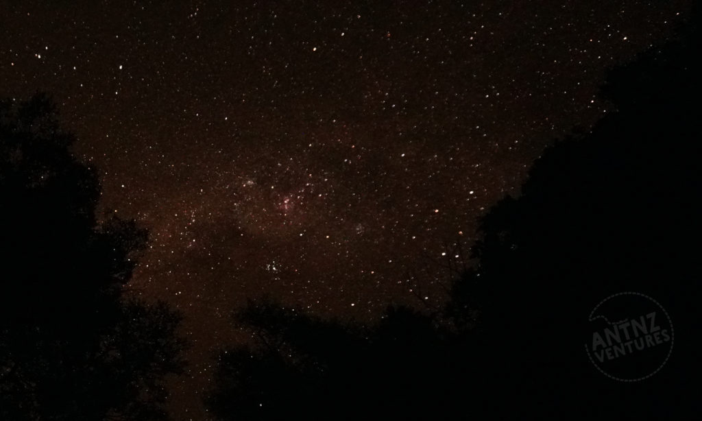 A night picture of the milky way. with a slight red tinge. In the lower part of both sides the silhouettes of trees can be seen.