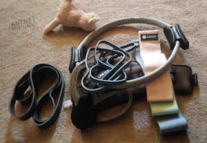 Some ankle weights, a door stopper and both rubber and fabric resistance exercise bands with a Pilates Ring on the tope. There is a random stuffed dog in the upper left corner of the picture
