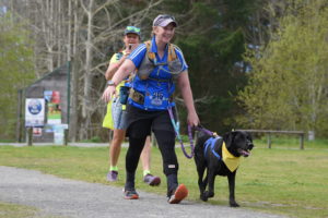 A picture of Antnz and ADNZ Raven. Raven is wearing her blue working harness and a yellow bandana. There is a purple leash with short handle that Antnz is holding, which connects from Raven's harness to a wide, hip, belt Antnz is wearing. Antnz is wearing a blue polo shirt, purple cap, black tights and shorts, a yellow running vest and a blue racing bib that has "315 Toni & Raven". Antnz is smiling and is walking, in the background is Wendy wearing Achilles yellow, filming on her cellphone.