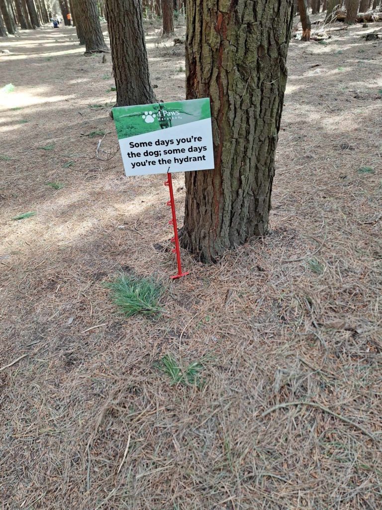 A sign next to a pine tree. The top third of the sign says "4 Paws Marathon". The rest of the sign says "Some days you're the dog; some days your the hydrant."