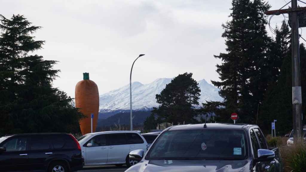 Mount Ruapehu in the background, framed either side by pine trees, the foreground is a carpark. Next to the left pine tree is a large carrot sculpture