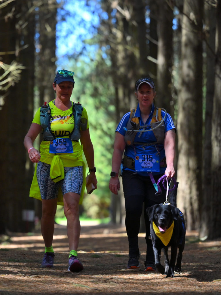 Antnz, Wendy and Raven walking towards the camera through a pine forest in dappled light through the trees. Antnz and Wendy are chatting while Raven is on a short lead providing momentum.