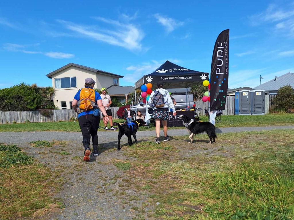 A 4Paws gazebo, with a table of snacks, electrolytes and water, to the right of the gazebo are 2 portaloos. Antnz is to the right of frame with ADNZ Raven (black Labrador) slightly to her right. In the middle of the frame is a woman is grey hoodie, small back pack and a running skirt covered in dog paw prints, to her right is Murph, a black and white border collie