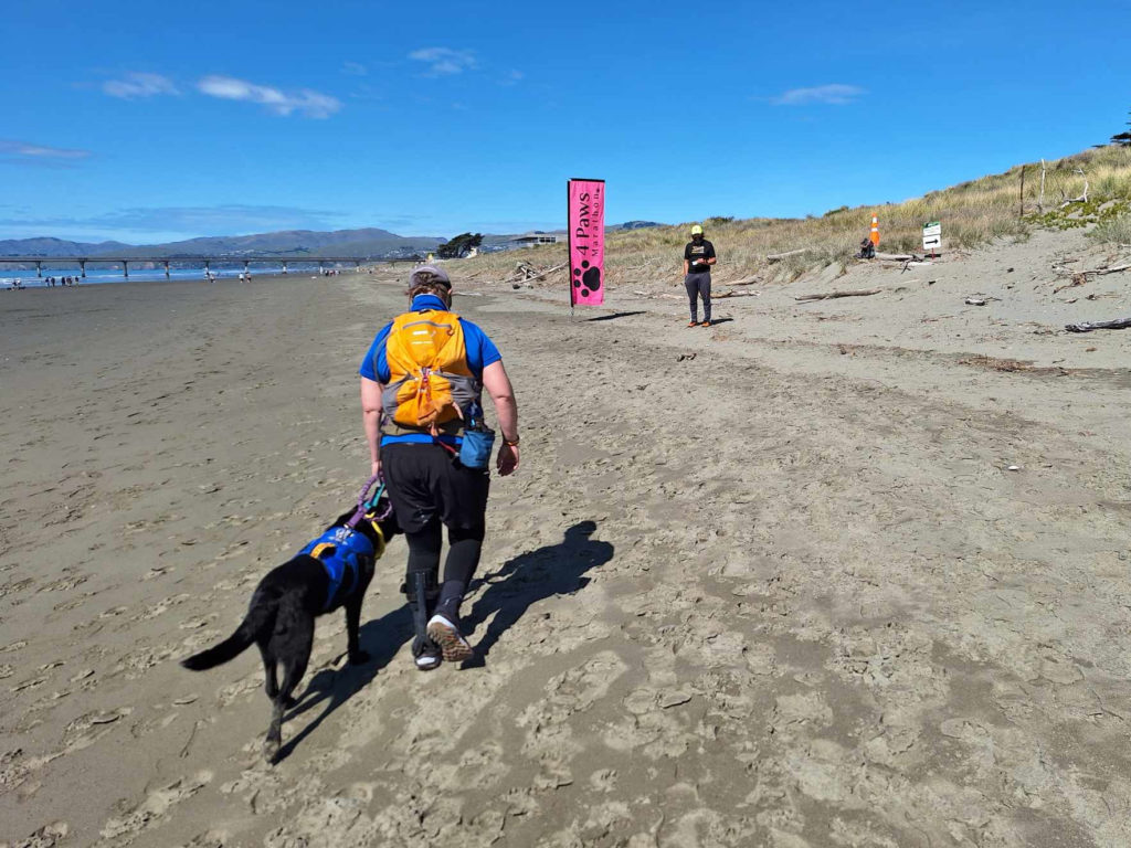 Antnz and Raven are walking away from the camera. Antnz is wearing a yellow small back pack. Raven is at hell on Antnz left. Ahead of Antnz is a Pink 4Paws sign and a man in a yellow cap and black t-shirt. There is a sign with a black arrow, pointing off screen is at the right of frame.